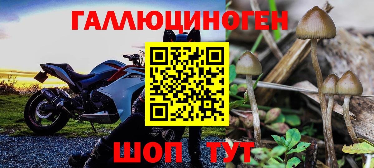 Галлюциногенные грибы MAGIC MUSHROOMS Новошахтинск
