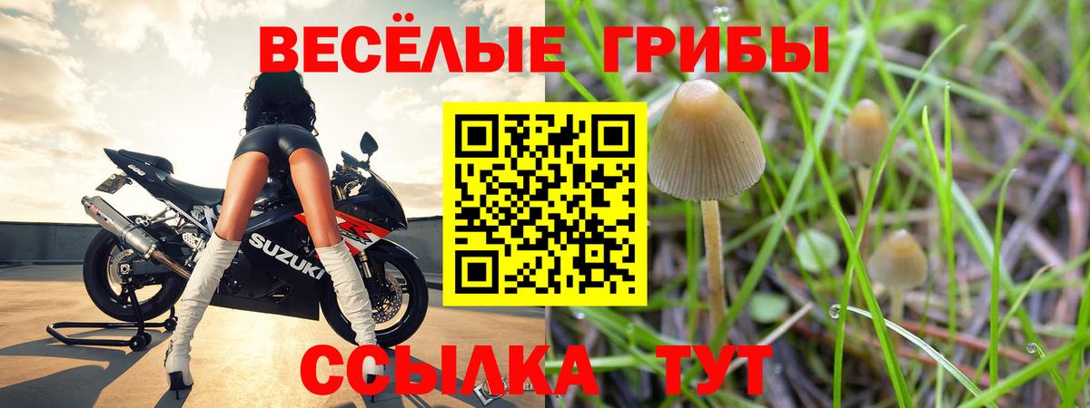 Галлюциногенные грибы ЛСД  Вход с VPN  Новошахтинск  Псилоцибиновые грибы Psilocybine cubensis 